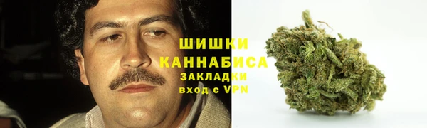 PSILOCYBIN Красноперекопск