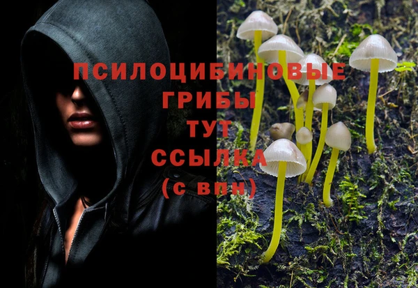 мет Бердск