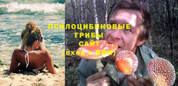 PSILOCYBIN Красноперекопск