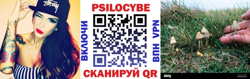 Псилоцибиновые грибы Magic Shrooms  где купить наркоту  мега рабочий сайт  Ярцево 